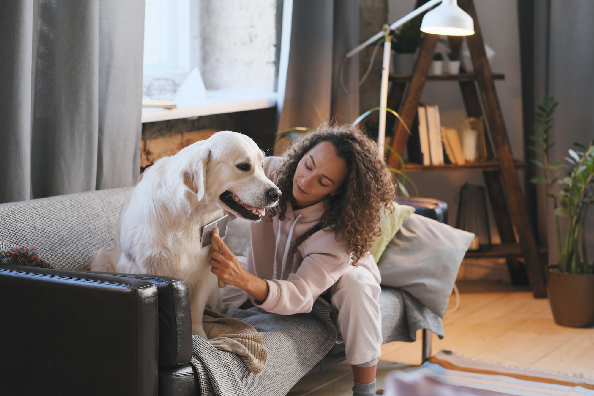 Can a Landlord Refuse to Rent to a Person who has a Pet in Toronto?