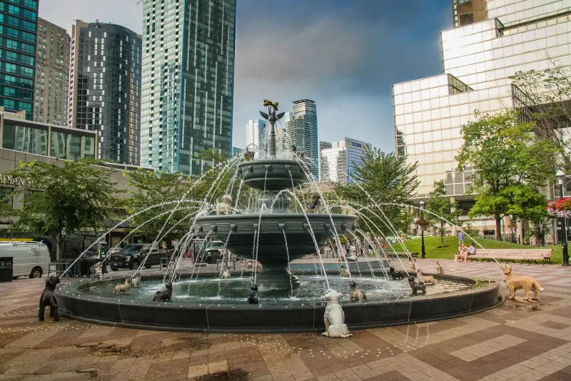 The Best Downtown Toronto Dog Parks for Condo Dwellers (and Their Lucky Pups)