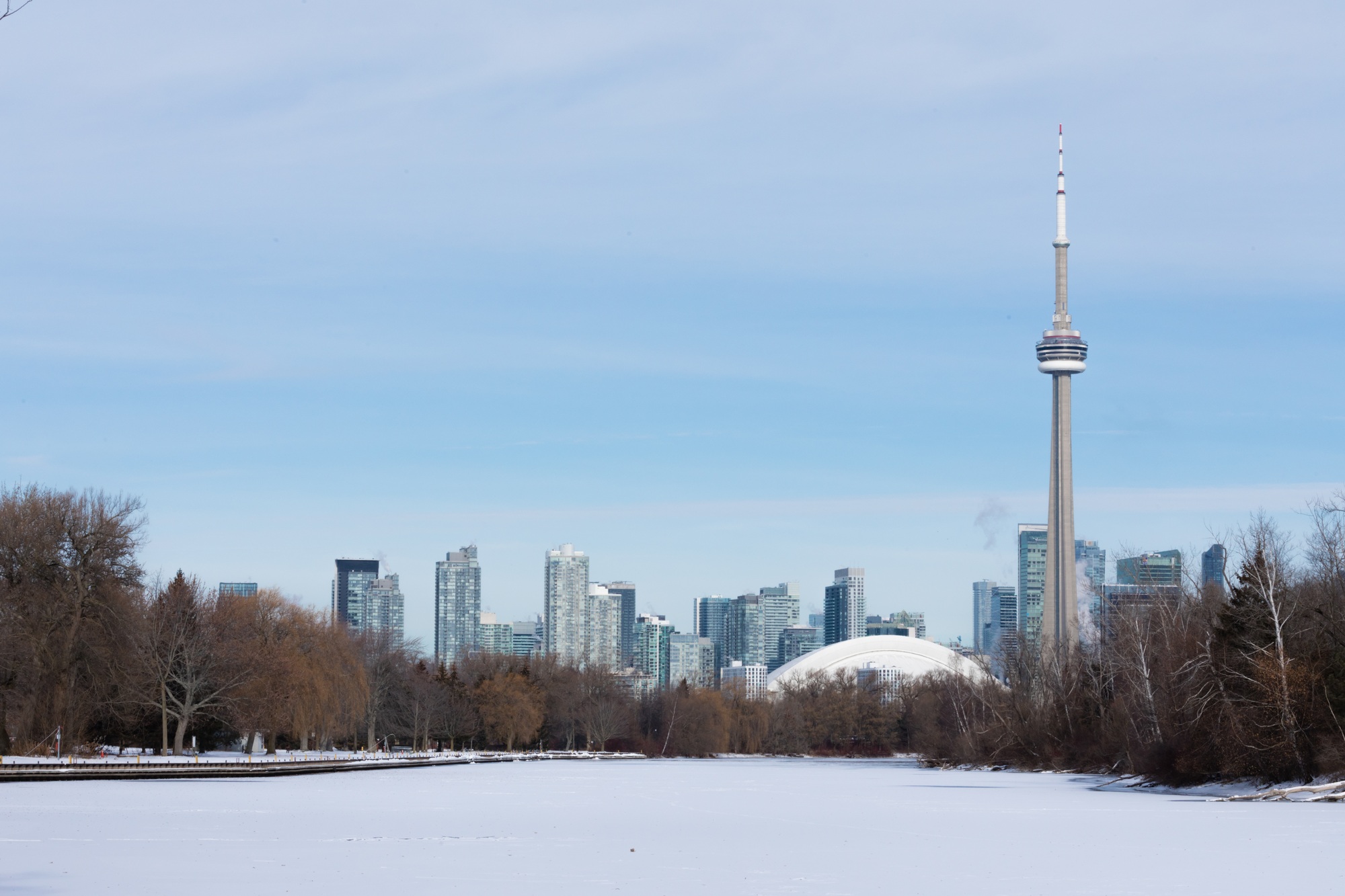 Toronto Real Estate Market Update: What December 2024 Revealed About a Year in Transition