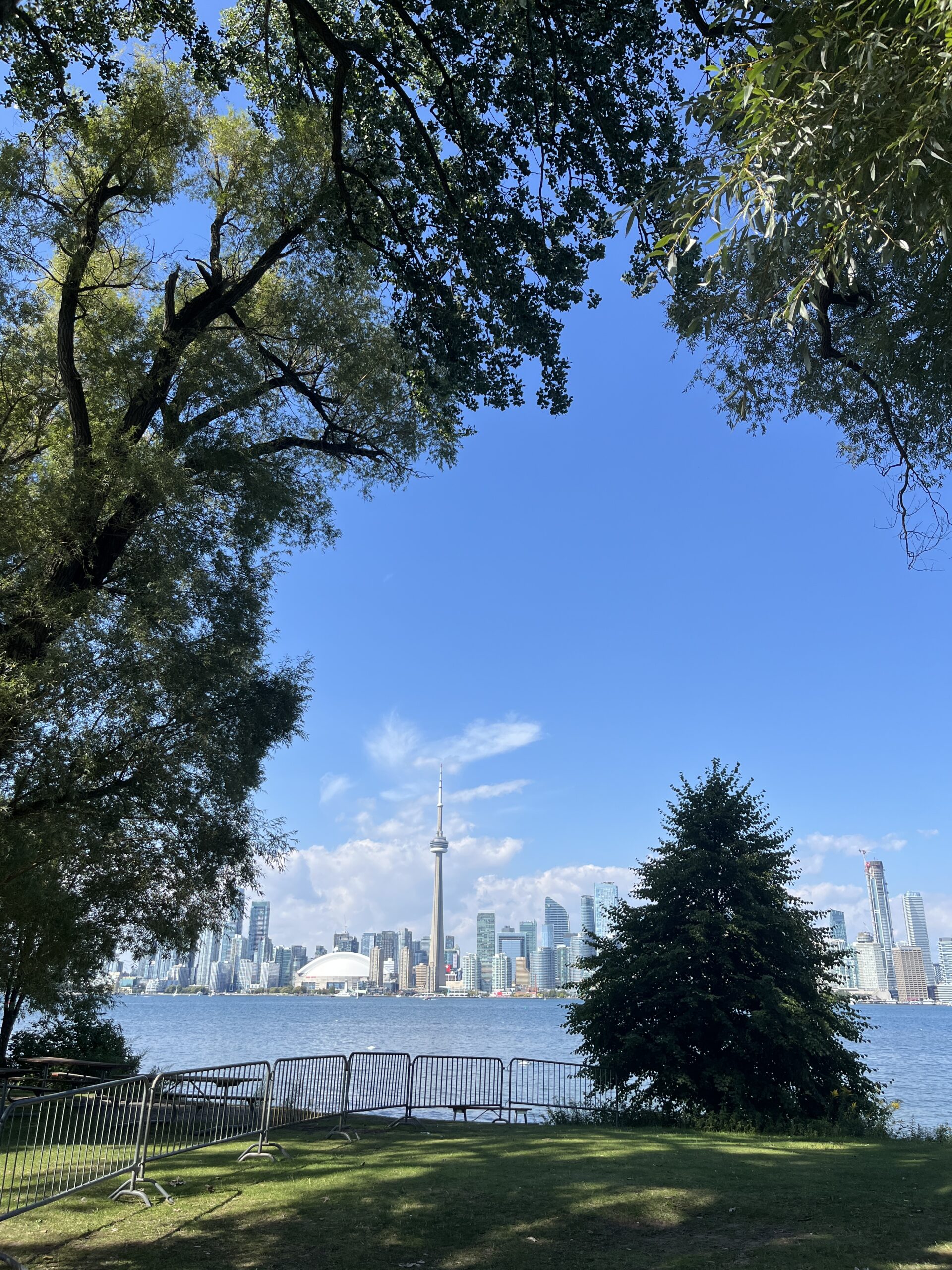 Toronto Real Estate Market 2025 Year-End Review & Outlook