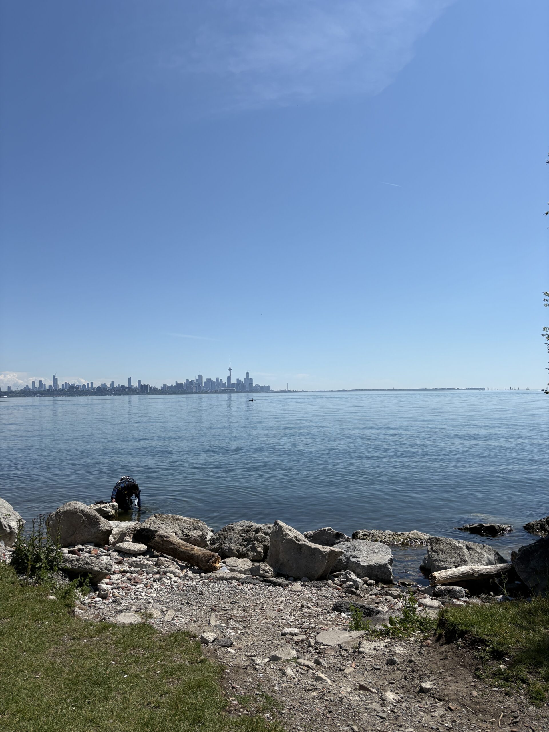 Toronto Real Estate Market Update: June 2026
